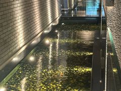 -晶采轩(虹桥路店)