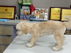 -瑞鹏宠物医院·爱宠堂·骨外专科(西荷分院)