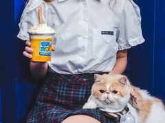 -milkplus·泰式奶茶(较场东路店)