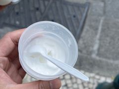 -洪馨椰子
