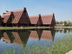 -广富林郊野公园