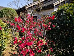 -无锡梅园公园