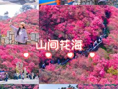 -木兰云雾山