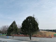 -秦始皇帝陵博物院-丽山园