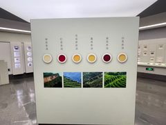 -中国茶叶博物馆(双峰馆区)