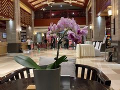 -西昌邛海湾柏樾酒店(原邛海湾柏栎度假酒店)