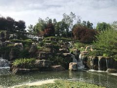 -秀丽东方