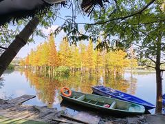 -白鹭湾湿地公园