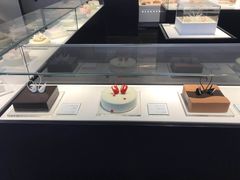 -BLACKSWAN黑天鹅(环球店)