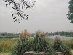 -武汉园博园(武汉自然博物馆)