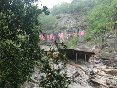 -牛鱼嘴原始生态风景区