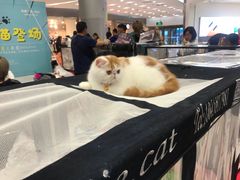 -凯德广场(学府店)