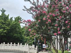 -岭南和园