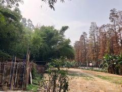 -鹿福农庄(南沙天后宫店)