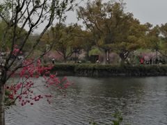 -无锡蠡湖国家湿地公园-蠡园