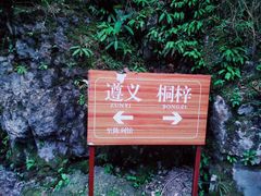 -娄山关景区