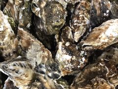 -宾朋海鲜特色美食餐厅·纯手工鲅鱼水饺(兴海路店)