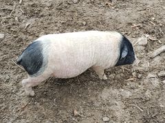 -鄂尔多斯野生动物园