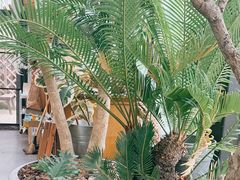 -北马山庄植趣咖啡