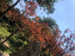 -广州市帽峰山景区