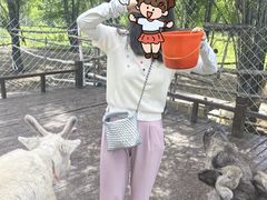 -莫尔道嘎国家森林公园