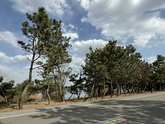 -山东八大碗山东老字号