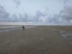 -红树林天天赶海