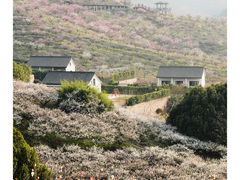 -原乡小镇度假乐园