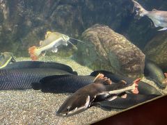 -太平洋海底世界