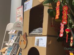-御宝贝·A梦猫科宠物医院(国际猫友好医院)