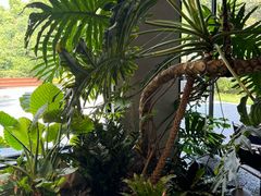 -J Create城市露营咖啡·简餐·宠物(上海动物园店)