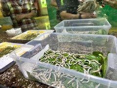 -上海昆虫博物馆