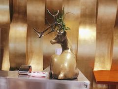-金鼎轩(亚运村店)