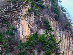 -王顺山国家森林公园