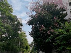 -华南师范大学(广州大学城校区)