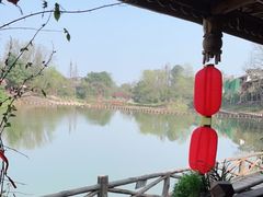 -望江饭店(13年精品店)