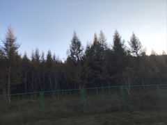 -塞罕坝国家级自然保护区