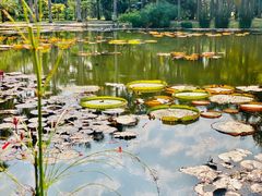 -中国科学院西双版纳热带植物园