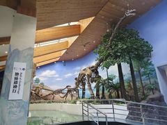 -延庆地质公园博物馆