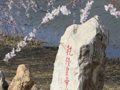 -桃花堤公园