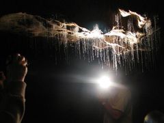 -怀托摩萤火虫洞