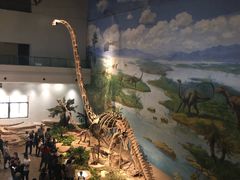 -自贡恐龙博物馆