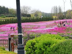-棒棰岛宾馆景区