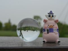 -良渚古城遗址公园