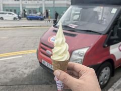-富豪雪糕车流动点(尖沙咀店)
