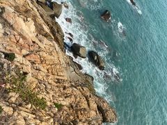 -广东惠东海龟国家级自然保护区