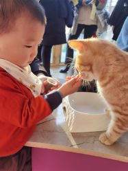 -萌宠亲子动物乐园(槐房万达店)