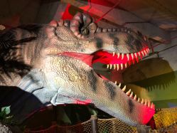 -恐龙探索乐园(磁器口店)