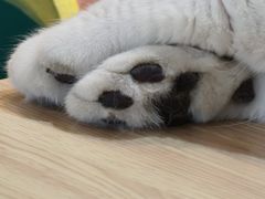 -小时光咖啡馆(开森度假森林店)