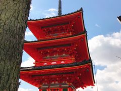 -有栖山 清光院 清水寺